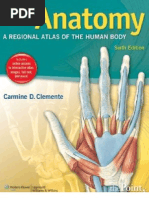 Download Anatomy a Regional Atlas of the Human Body by Lecs SN130724911 doc pdf