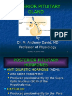 Nomad:Posterior Pituitary Physiology