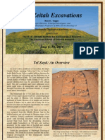 The Ezitah Excavations (Ron e. Tappy)