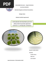 Capacidade de regeneração do Sphagnum Palustre quando exposto a condições extremas