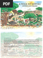 A Roca No Sertao