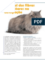 O Papel Das Fibras Alimentares Na Obstipacao