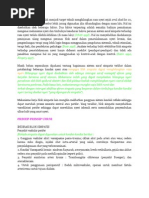 Download Sistem Saraf Simpatis Telah Menjadi Target Teknik Menghilangkan Rasa Nyeri Sejak Awal Abad Ke 20 by Bambang Adi SN130803271 doc pdf