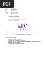 Download Bakteri Streptococcus Sp by Novita Nur Awaliyah SN130815645 doc pdf