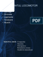 Curs Osteoarticular