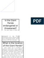 Giant Panda Poster