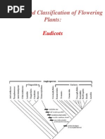 Plant Anatomy A Concept Based Approach To The Structure Of Seed Plants Springer Copyright 2018 2018 Plant Stem Stoma