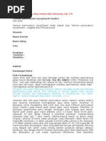 Download Talinum paniculatum Afrodiasiaka by Aghnat Firasyan SN130835408 doc pdf