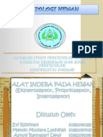 FisWan - Alat Indera Pada Hewan