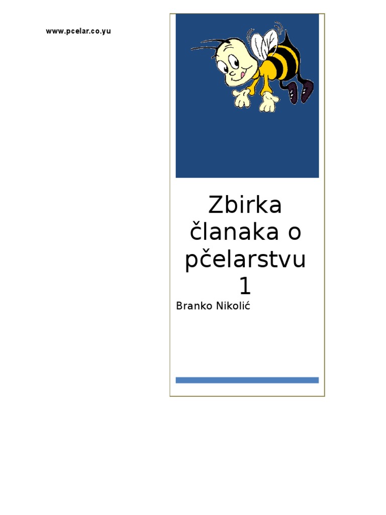 A prosztatitis sémája