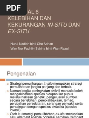 Kelebihan Dan Kekurangan In Situ Dan Ex Situ Pdf