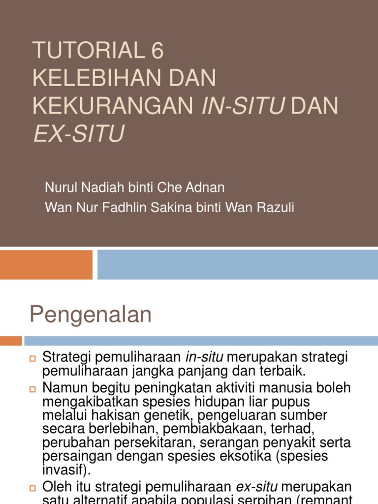 Kelebihan Dan Kekurangan In Situ Dan Ex Situ Pdf