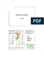 Endocrine System Review