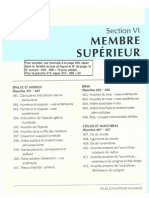 Anatomie - Netter - Membre Supérieur PDF
