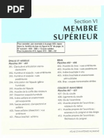 Anatomie - Netter - Membre Supérieur PDF