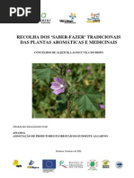 Etn.botanico.pdf