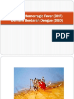 Dengue Hemorragic Fever (DHF) Demam Berdarah Dengue (DBD)