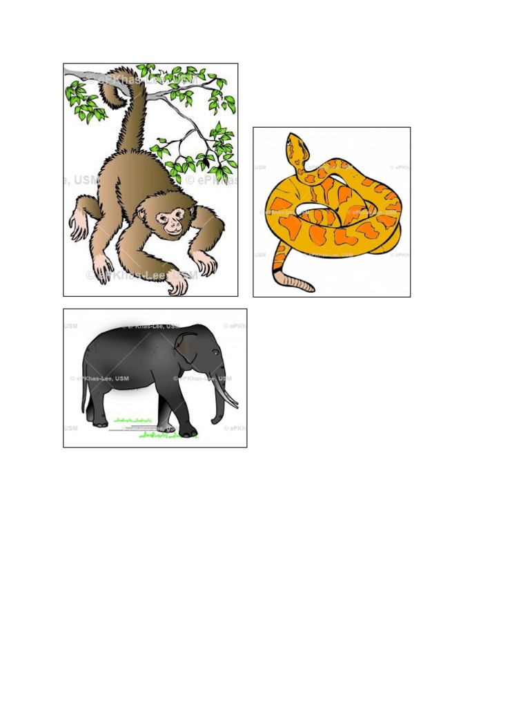 Gambar Kepentingan Haiwan Dan Tumbuhan