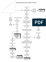 Penyimpangan KDM Demam Typhoid