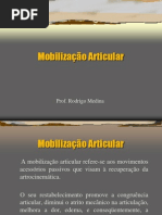 Aula 3 - Mobilização Articular