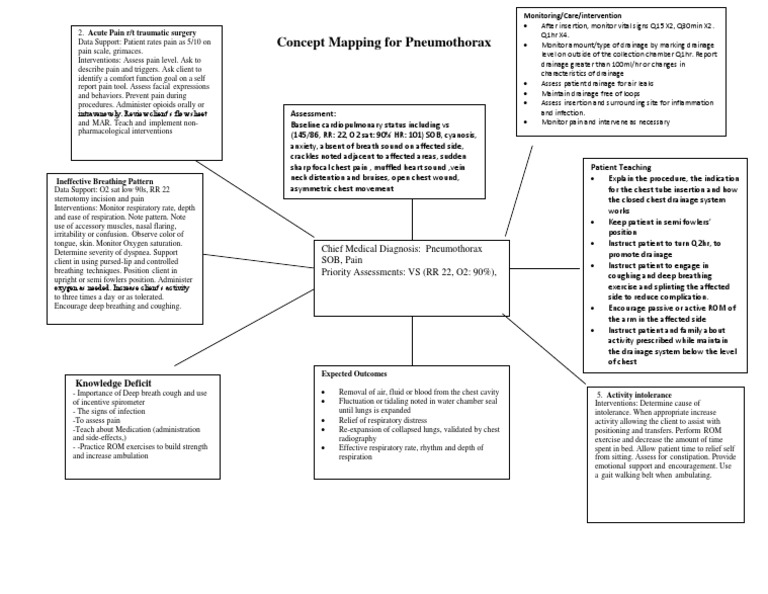Concept Map 2  Thorax  Respiratory System
