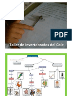 Taller de invertebrados del cole.pdf