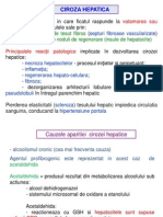 Curs 6