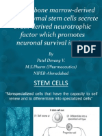 Neuronal Survival in Vitro