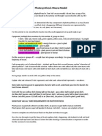 Photosynthesis Macro Model Instructions