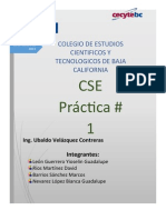 Practica 1 CSE.docx