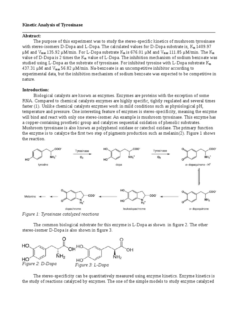 Analysis of Tyrosinase Enzyme Inhibitor Enzyme