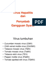 Virology Virus+Hepatitis&Syaraf