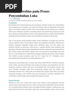 Download Peran Fibroblas Pada Proses Penyembuhan by anggun_tamara SN130922637 doc pdf