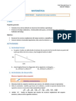 Los Números Reales. Operaciones Con Radicales.