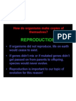relating reproduction to evolution