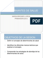 Determinantes de Salud