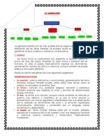 Sintesis Español Sexto