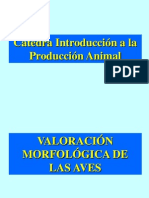 Clase - Morfologia de Aves