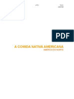 ComidA Nativa Americana