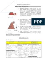 Download MANUAL Diklat Dasar KSR - Final - Pengantar Menejemen Penanggulangan Bencana by necel SN13095507 doc pdf