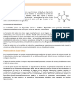 Ácido úrico: metabolismo, hiperuricemia y determinación