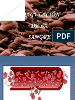 Coagulacin de La Sangre4505