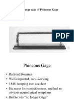 phineous gage