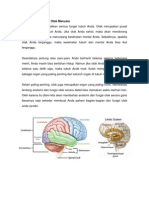 Anatomi Dan Fungsi Otak Manusia