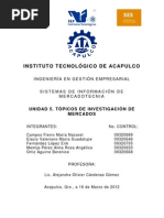 Download UNIDAD 5 TPICOS DE INVESTIGACIN DE MERCADOS by Fl Eriik SN130973037 doc pdf