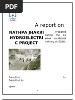 Hydroelectric Project