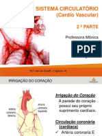 Sistema circulatório cardíaco e coronário