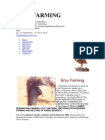 37827729-Emu-Farming