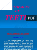 Development of Teeth