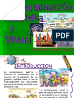Contaminación Auditiva y Visual.pptx